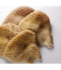 原色金錢肚 Honey Comb Tripe